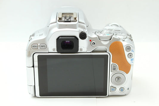 EOS Kiss X9 シルバー + 18-55/4-5.6 IS STM シルバー レンズキット