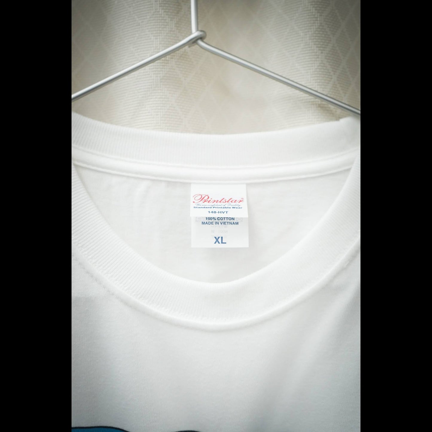 Tシャツ にしんカメラ XXL