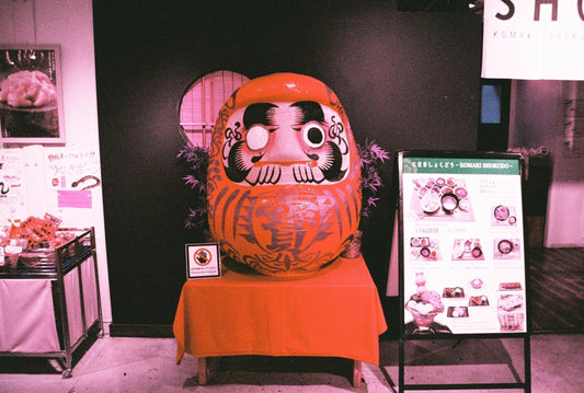🎞️Lomography LOMOCHROME PURPLE 100-400 カラーネガフィルム