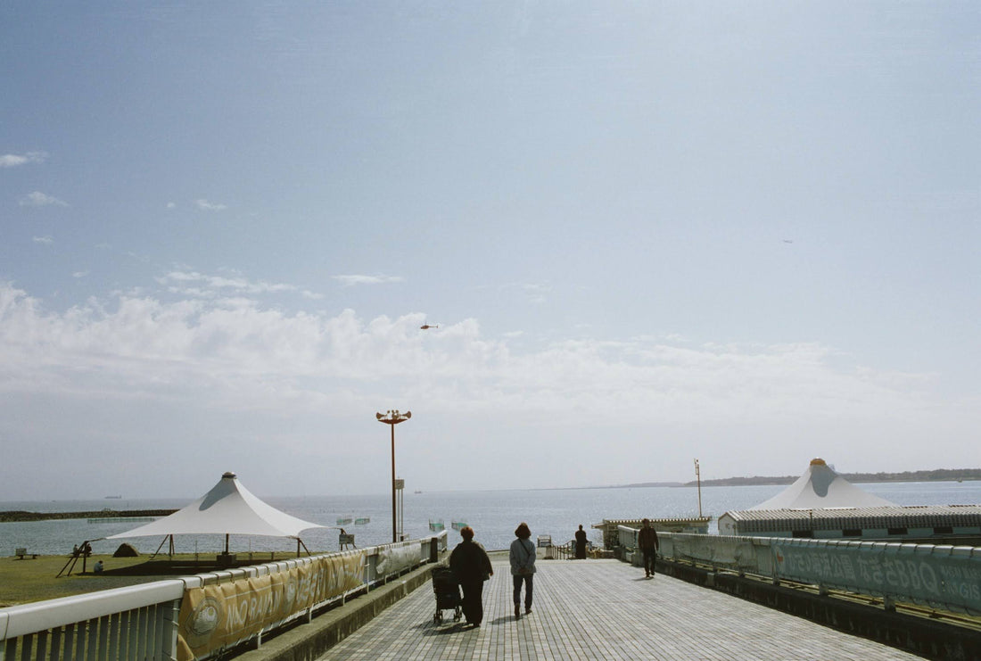 🎞️REFLX LAB 100 DAYLIGHT カラーネガフィルム