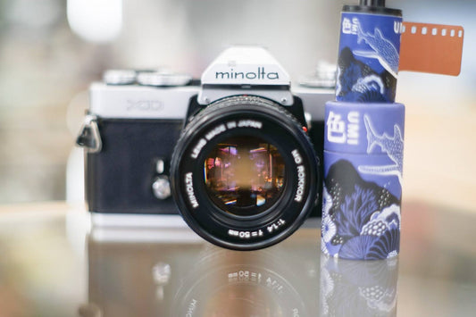 FilmNeverDie UMI 800 35mm で撮ってみた！📸