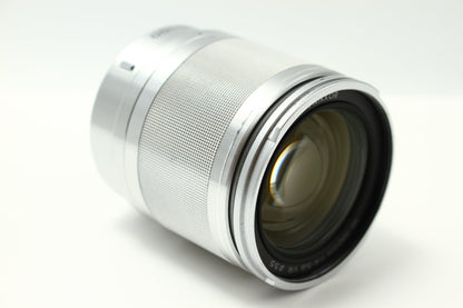 1 NIKKOR VR 10-100/4-5.6 シルバー