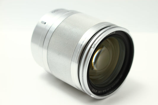 1 NIKKOR VR 10-100/4-5.6 シルバー