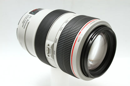 EF 70-300/4-5.6 L IS USM