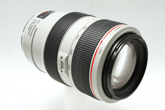 EF 70-300/4-5.6 L IS USM
