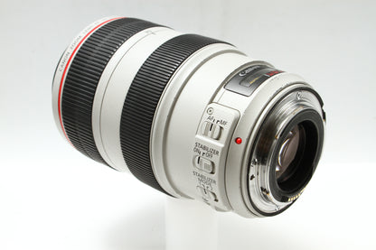EF 70-300/4-5.6 L IS USM