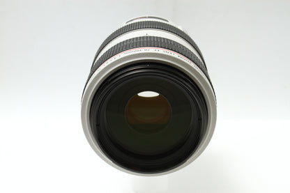 EF 70-300/4-5.6 L IS USM