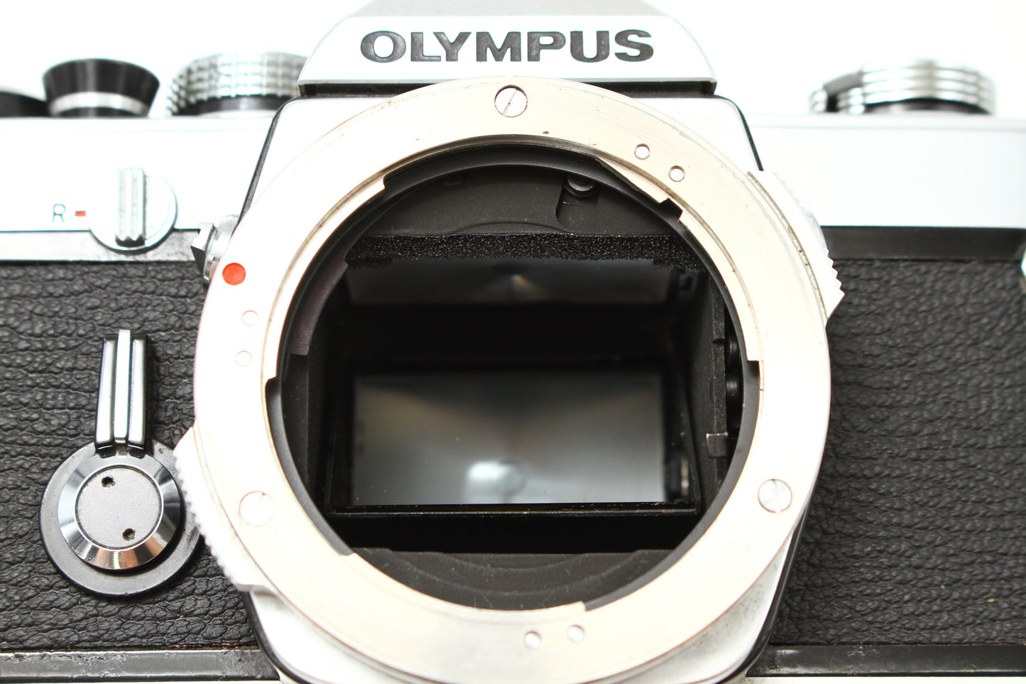 M-1 + M-SYSTEM F.ZUIKO AUTO-S 50/1.8