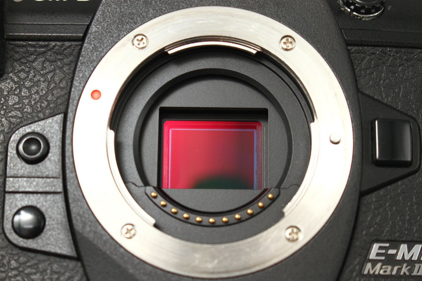 OM-D E-M1 Mark III