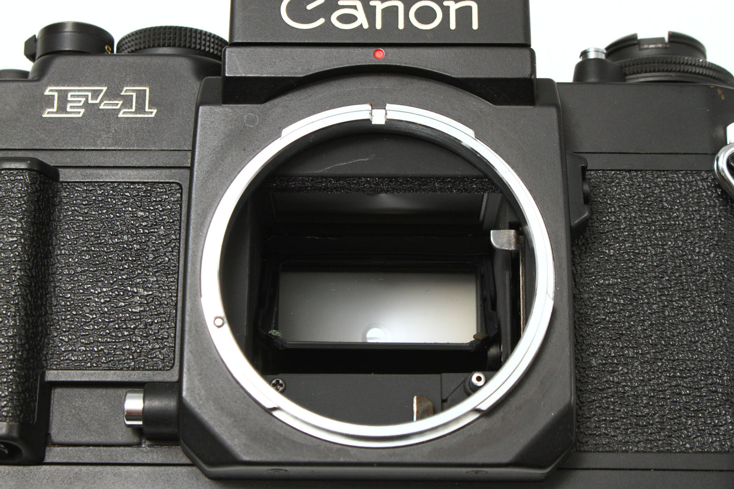 NEW F-1 アイレベル