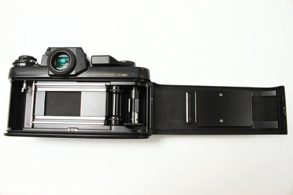 F3 アイレベル
