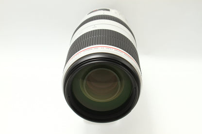 EF 100-400/4.5-5.6 L IS II USM