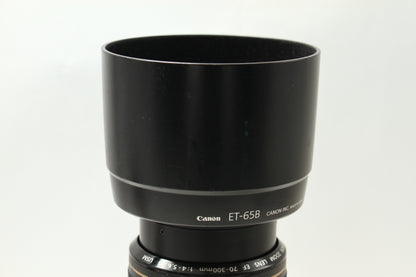 EF 70-300/4-5.6 IS USM