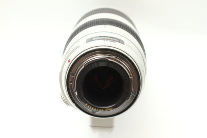 EF 100-400/4.5-5.6 L IS II USM