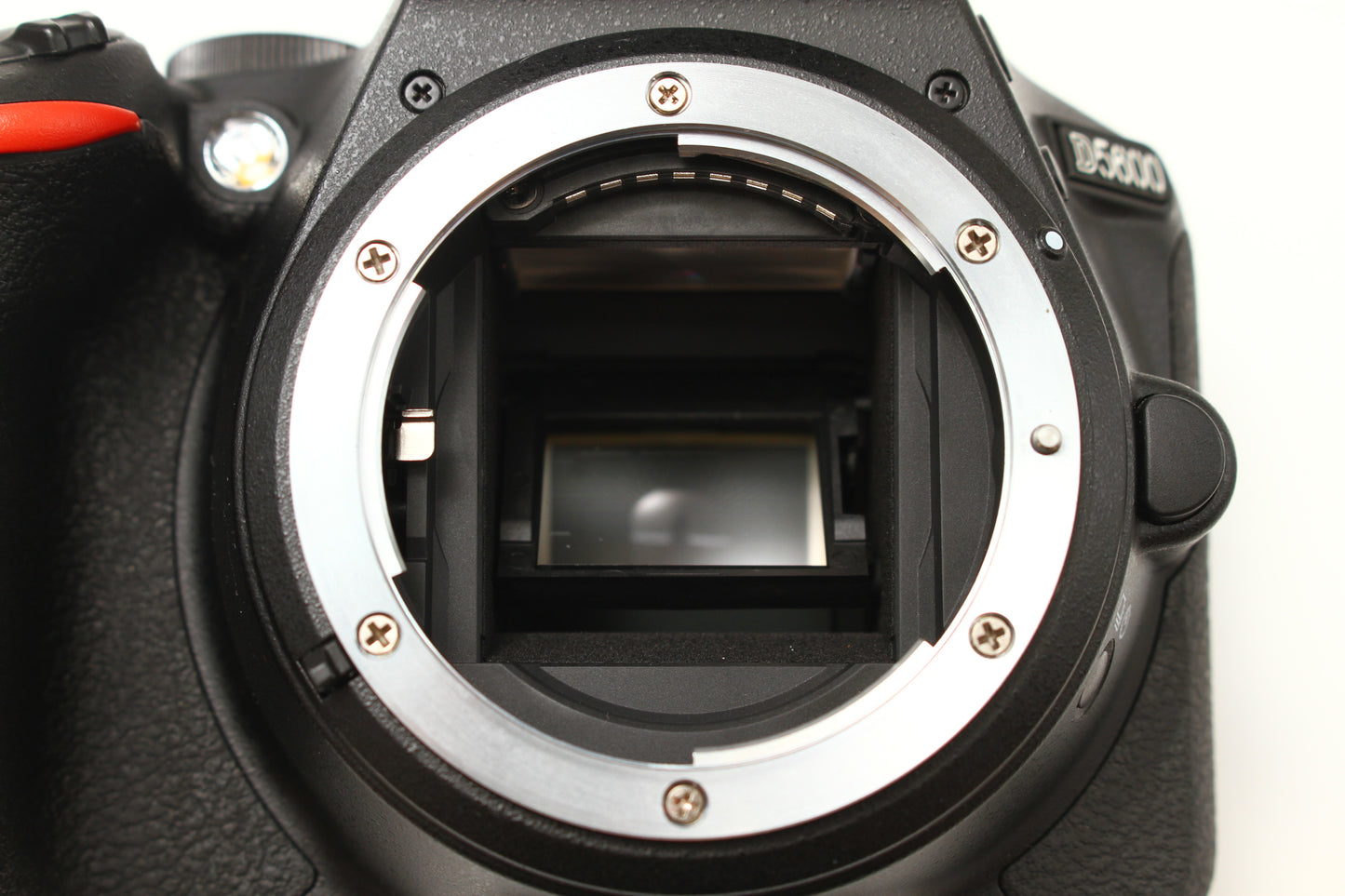 D5600