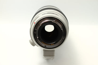 EF 100-400/4.5-5.6 L IS II USM
