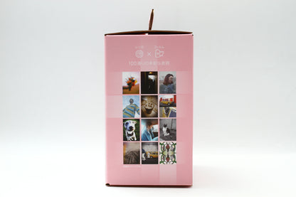 instax mini Evo GENTLE ROSE